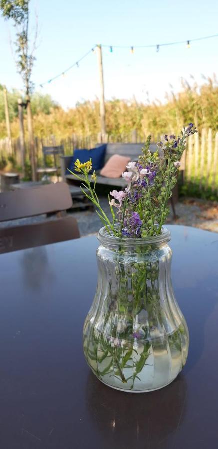 Buiten Aan De Baak Steenbergen  Exterior foto